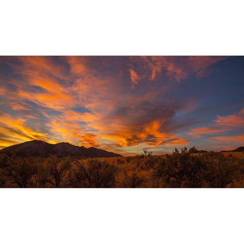 Looking At Hogbacks White Modern Wood Framed Art Print by Linden, Sally