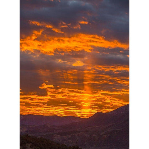 Lookout Mountian Black Modern Wood Framed Art Print by Linden, Sally