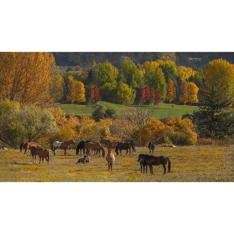 Perfect Life White Modern Wood Framed Art Print by Linden, Sally