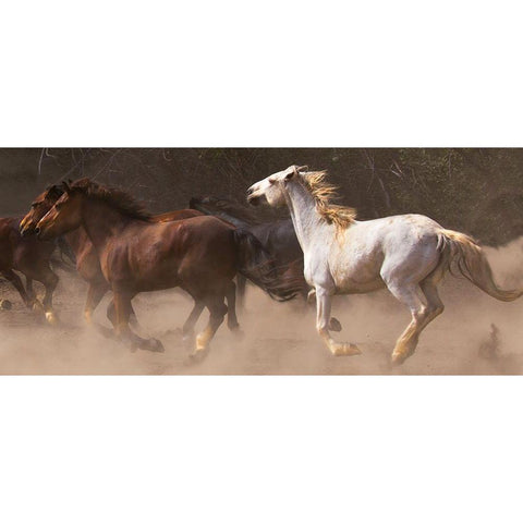 Run Away Wilds Black Modern Wood Framed Art Print by Linden, Sally