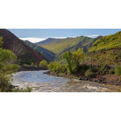 South Canyon Spring Black Modern Wood Framed Art Print by Linden, Sally