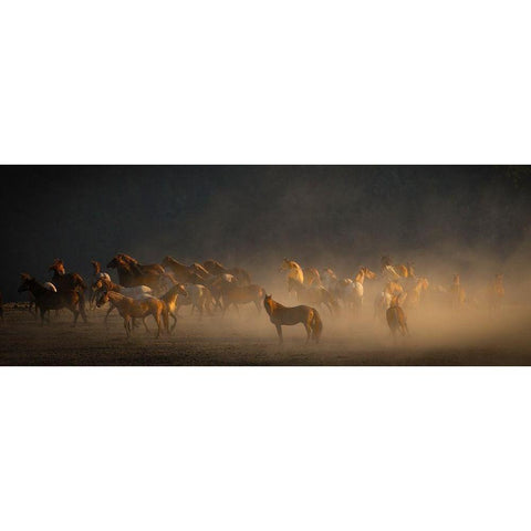 Wild Horses Black Modern Wood Framed Art Print by Linden, Sally