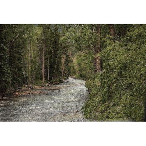 Winding River Black Modern Wood Framed Art Print by Linden, Sally