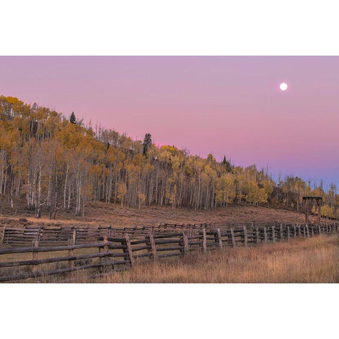 Sunrise Rideway Black Modern Wood Framed Art Print by Linden, Sally