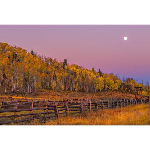 Sunrise Rideway #2  Gold Ornate Wood Framed Art Print with Double Matting by Linden, Sally