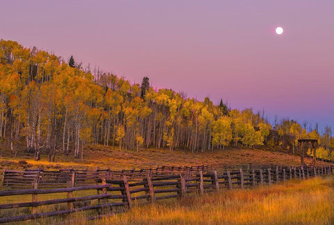 Sunrise Rideway #2  Black Ornate Wood Framed Art Print with Double Matting by Linden, Sally