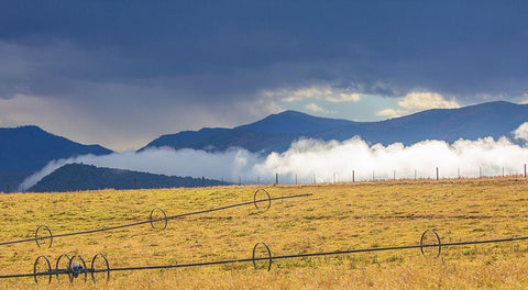 Irrigation White Modern Wood Framed Art Print with Double Matting by Linden, Sally