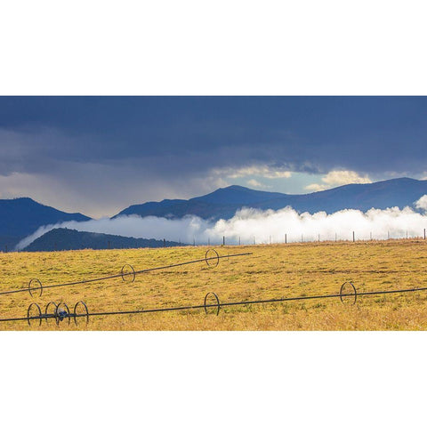 Irrigation Black Modern Wood Framed Art Print with Double Matting by Linden, Sally