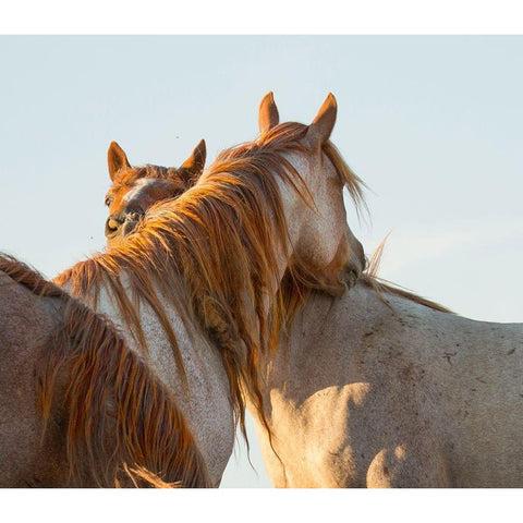 You Scratch My Back Black Modern Wood Framed Art Print by Linden, Sally