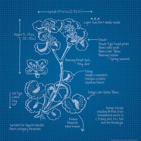 Blueprints 1 White Modern Wood Framed Art Print with Double Matting by Nobleworks, Inc.