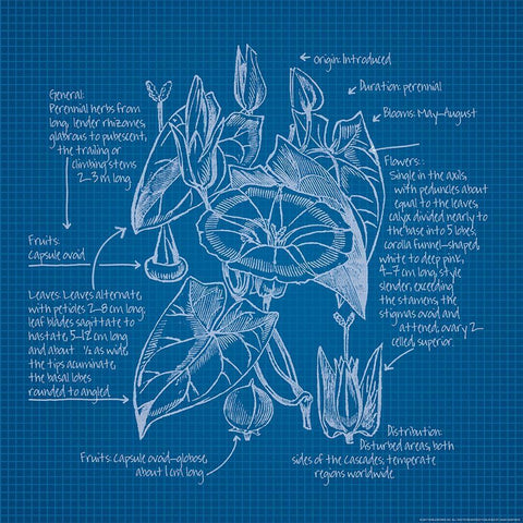 Blueprints 3 White Modern Wood Framed Art Print with Double Matting by Nobleworks, Inc.