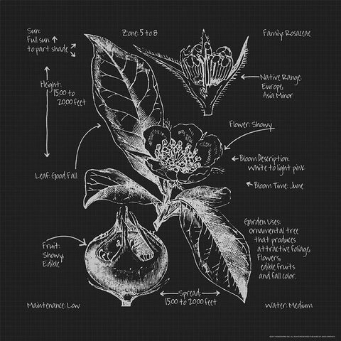 Blueprints 8 Black Modern Wood Framed Art Print by Nobleworks, Inc.
