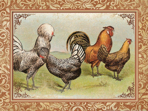 Chicken 3 White Modern Wood Framed Art Print with Double Matting by Nobleworks, Inc.