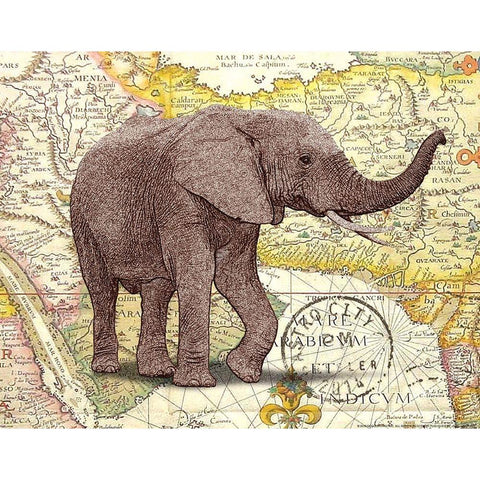 Trunk 1 Gold Ornate Wood Framed Art Print with Double Matting by Nobleworks, Inc.