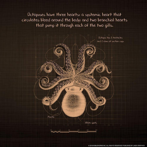 Octoprint 1 White Modern Wood Framed Art Print with Double Matting by Nobleworks, Inc.