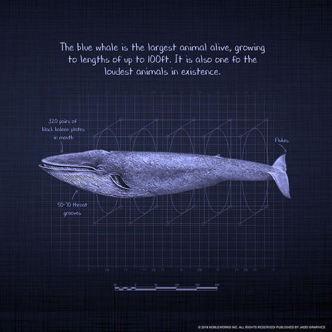 Whaleprint 4 White Modern Wood Framed Art Print by Nobleworks, Inc.