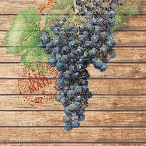 Grapes A Black Ornate Wood Framed Art Print with Double Matting by Nobleworks, Inc.