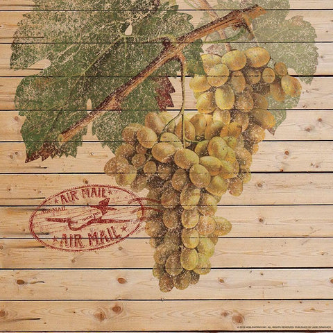 Grapes B Gold Ornate Wood Framed Art Print with Double Matting by Nobleworks, Inc.