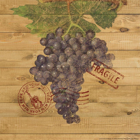 Grapes C Gold Ornate Wood Framed Art Print with Double Matting by Nobleworks, Inc.