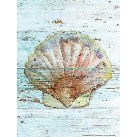 Seashell 1 Black Modern Wood Framed Art Print by Nobleworks, Inc.