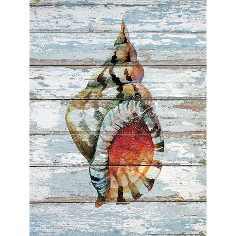 Seashell 2 Gold Ornate Wood Framed Art Print with Double Matting by Nobleworks, Inc.