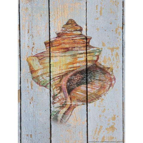 Seashell 4 Black Modern Wood Framed Art Print by Nobleworks, Inc.