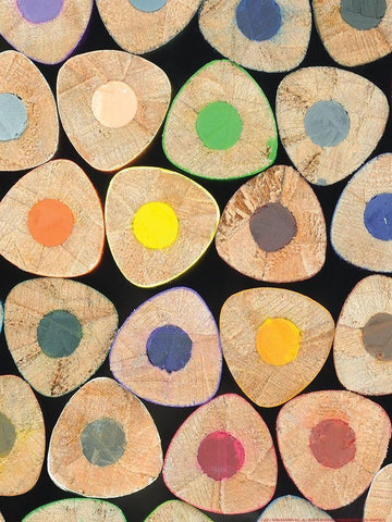 Pencil 3 Black Ornate Wood Framed Art Print with Double Matting by Nobleworks, Inc.