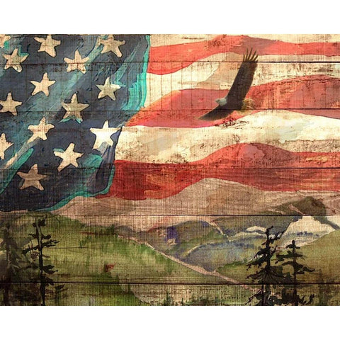 Flag 7 Black Modern Wood Framed Art Print with Double Matting by Nobleworks, Inc.