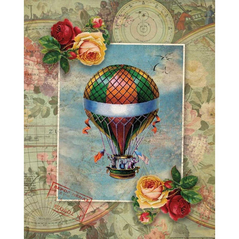 Balloon 1 Black Modern Wood Framed Art Print with Double Matting by Nobleworks, Inc.