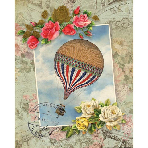 Balloon 2 Black Modern Wood Framed Art Print with Double Matting by Nobleworks, Inc.