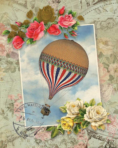 Balloon 2 Black Ornate Wood Framed Art Print with Double Matting by Nobleworks, Inc.