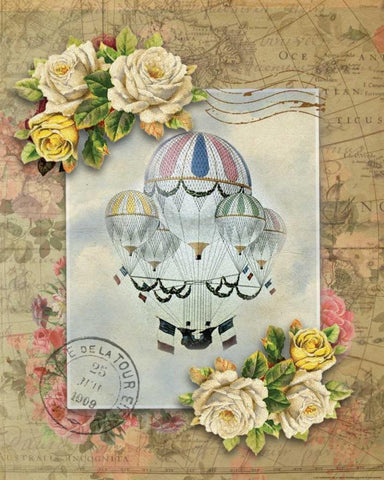 Balloon 7 Black Ornate Wood Framed Art Print with Double Matting by Nobleworks, Inc.