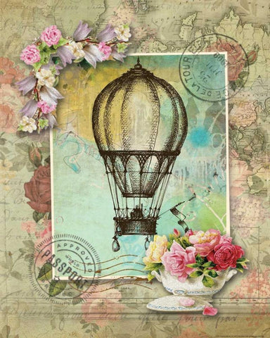 Balloon 10 Black Ornate Wood Framed Art Print with Double Matting by Nobleworks, Inc.