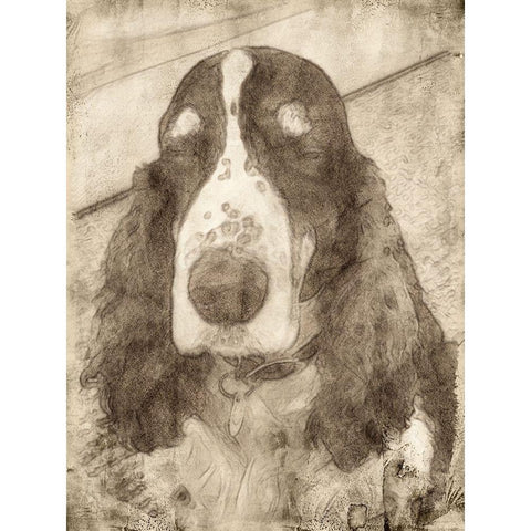 Dexter Black Modern Wood Framed Art Print with Double Matting by Segal, Alan