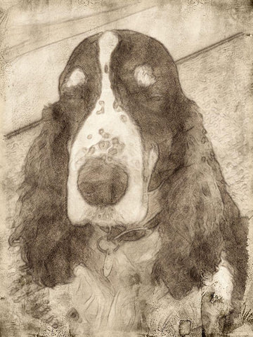 Dexter Black Ornate Wood Framed Art Print with Double Matting by Segal, Alan