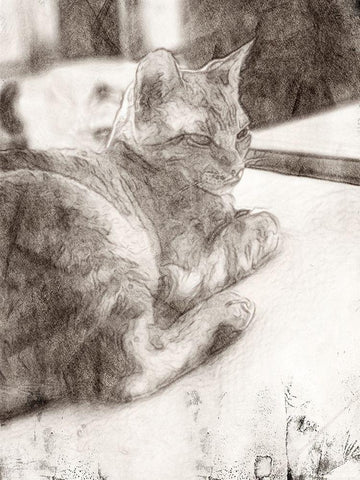 Warming Up Black Ornate Wood Framed Art Print with Double Matting by Segal, Alan