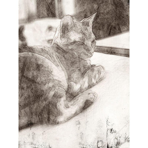 Warming Up Black Modern Wood Framed Art Print with Double Matting by Segal, Alan