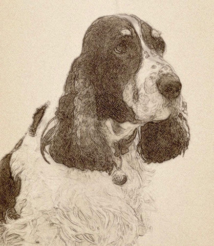 Dexter #2 Black Ornate Wood Framed Art Print with Double Matting by Segal, Alan