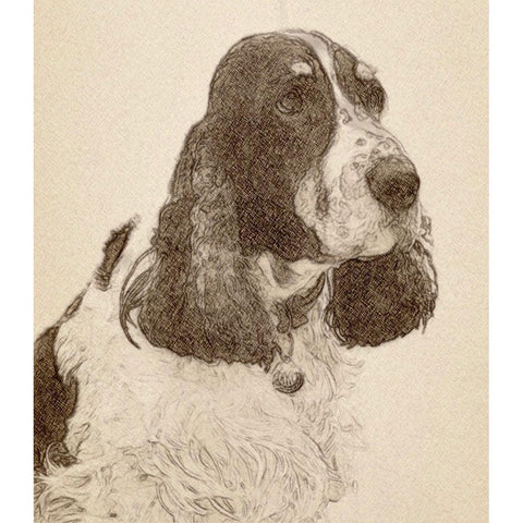 Dexter #2 Black Modern Wood Framed Art Print by Segal, Alan