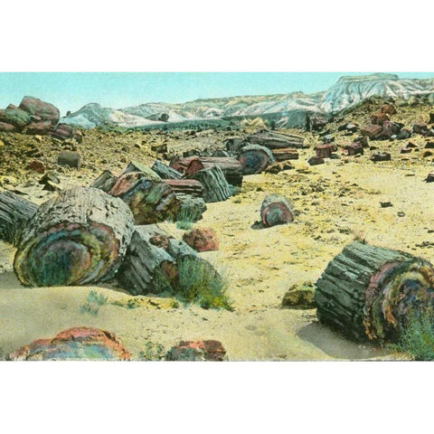 Petrified Forest Black Modern Wood Framed Art Print by Paul, Alan