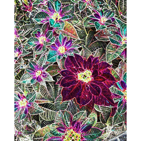 Boquet Black Modern Wood Framed Art Print with Double Matting by Khilnani, Rajiv
