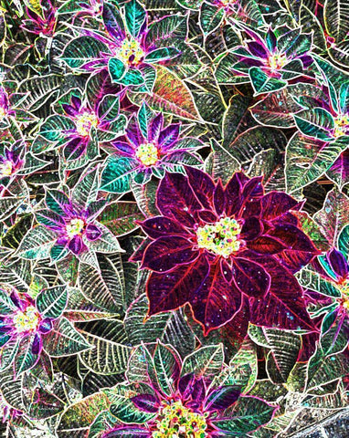 Boquet White Modern Wood Framed Art Print with Double Matting by Khilnani, Rajiv