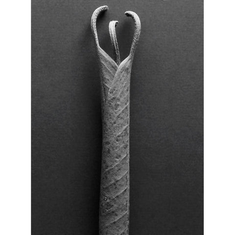 Mountain Leaves 2 Black Modern Wood Framed Art Print by Rosenthal, Barry