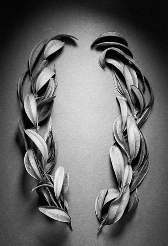 Brackets White Modern Wood Framed Art Print with Double Matting by Rosenthal, Barry