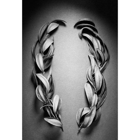 Brackets Black Modern Wood Framed Art Print by Rosenthal, Barry