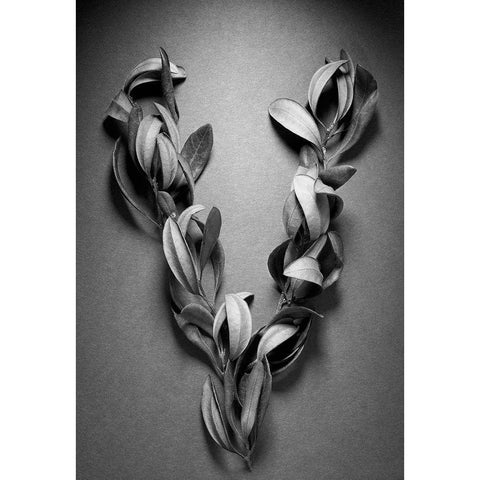 Victory Black Modern Wood Framed Art Print with Double Matting by Rosenthal, Barry