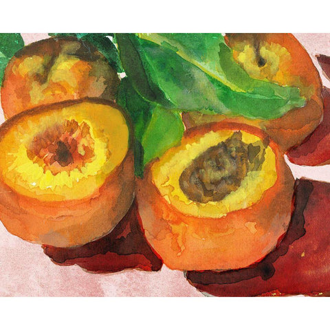 Nectarines Black Modern Wood Framed Art Print with Double Matting by Sokal, Patti