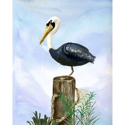 Pelican Black Modern Wood Framed Art Print with Double Matting by Sokal, Patti