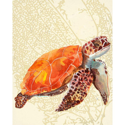 Turtle Black Modern Wood Framed Art Print with Double Matting by Sokal, Patti