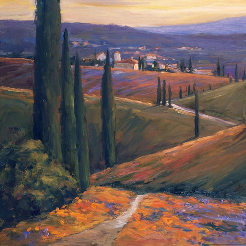 Afternoon 1 Black Modern Wood Framed Art Print with Double Matting by Stevens, Allayn